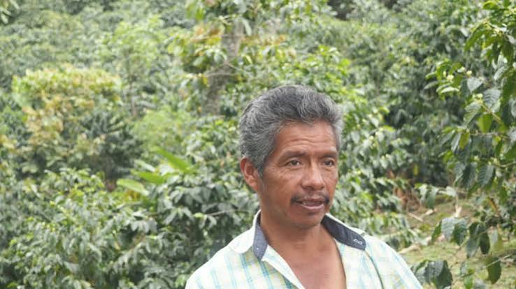 New! Just a Lil Happy *limited edition* Spotlight Coffee!  MEXICO ORGANIC CHIAPAS ALTURA HG EP